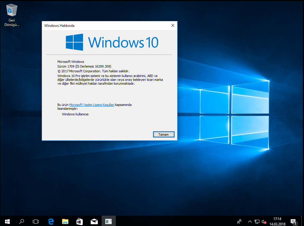Самые легкие сборки windows. ОС Windows Home Single language. Windows 10 Home 21h1. Windows 10 build 10586. Win 10 Pro.
